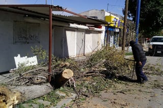 Daños. Solamente hubo árboles caídos en el sector rural y urbano de Gómez Palacio. (EL SIGLO DE TORREÓN)