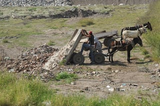 La organización agrupa a más de 150 familias que dependen económicamente del manejo de carromatos tirados por caballos, mulas o burros en esta ciudad. (ARCHIVO)
