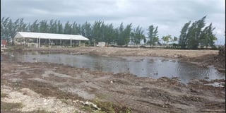 Ya fue devastado un promedio de 20 hectáreas de humedales y sepultada una amplia variedad de fauna silvestre en Cancún. (ESPECIAL)
