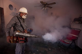 Riesgo. Hasta 4 millones de personas se pueden contagiar del virus del Zika en América Latina. (EFE)