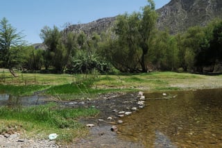 El Cañón de Fernández, fue declarado en el año 2008 como un humedal de importancia internacional. (EL SIGLO DE TORREÓN/ ARCHIVO)