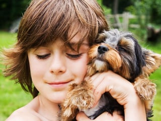 Los perros fueron quienes mayores niveles de oxitocina liberaron. (ESPECIAL)