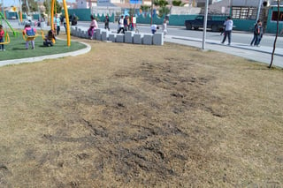 Daños. El constante paso de gente y el clima han afectado el pasto de gran parte de la Línea Verde en Torreón.