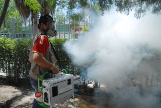 Prevención. Continúan recomendando evitar la proliferación de mosquitos en la región Lagunera de Durango. (ARCHIVO)