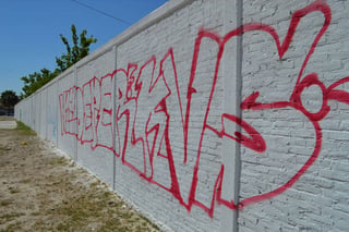 Sin respeto. Las bardas de la primaria 'Leyes de Reforma', en la colonia Latinoamericana, también tienen grafitis. (ROBERTO ITURRIAGA)