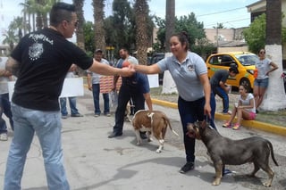 Caminata. Cientos de perritos caminan con sus dueños por el Centro de Gómez Palacio; se busca respeto y conozcan sus bondades. (EL SIGLO DE TORREÓN)