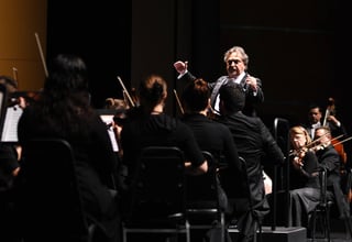 Programa. Además de la obra de Beethoven, Egmont, en el concierto de la Camerata se interpretarán varias arias de ópera.