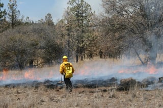 Aumento. Este año el número de incendios forestales se ha incrementado significativamente, según estadísticas federales. 