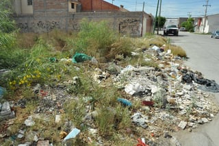 Basurero. Así es como luce el terreno baldío que se encuentra sobre la calle 39, entre Matamoros y Morelos. (GUADALUPE MIRANDA)