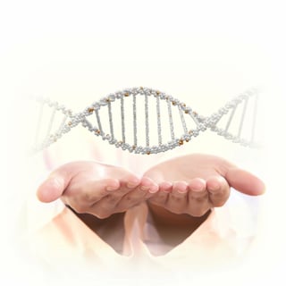 La razón por la que el código genético dejara de crecer se halla en la estructura de los ácidos ribonucleicos (ARN) de transferencia, las moléculas centrales en la traducción de genes a proteínas. (ARCHIVO)