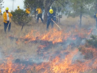 En tanto en el tercer lugar se ubica el municipio de Pueblo Nuevo, con daños en una superficie de 255.85 hectáreas al presentarse 14 incendios.