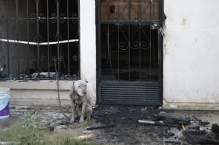 A tiempo. Los Bomberos lograron entrar a la casa antes de que el fuego consumiera a la familia de perros raza Pitbull.
