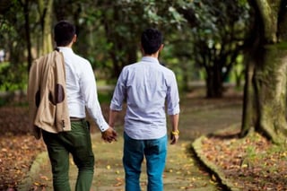 Gays. El ISSSTE ha afiliado a 224 parejas gay. (ARCHIVO) 