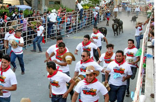Como en una pamplonada, los valientes corren para evitar ser cogidos por los toros. (Agencia Reforma)