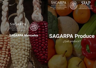 Producción. Con esta aplicación, la Sagarpa busca agilizar las decisiones de los productores agrícolas. 