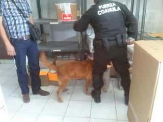 En esas instalaciones, el oficial canino denominado “Rojo” señaló un sobre de papel color amarillo, con burbuja. (CORTESÍA)