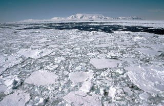 Los modelos históricos están limitados por varios factores y en el caso del Ártico se debe a que existen pocos datos debido a lo inaccesible que había sido dicha área en el pasado. (ARCHIVO)