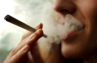 La marihuana es la droga ilícita más consumida en el mundo, con estimaciones que sugieren que en América del Norte el 11 por ciento de los adultos la consumió alguna vez. (ARCHIVO)
