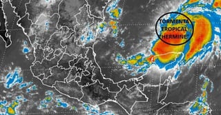 “Hermine” se formó a partir de la depresión tropical 9 y ahora se desplaza al norte a 4 kilómetros por hora. (TWITTER)