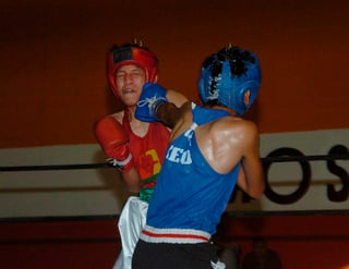 Se celebrarán topes de boxeo en los que podrán participar todos los gimnasios de La Laguna. (Archivo)
