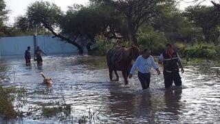 Se rescataron a los integrantes de cuatro familias asentadas en la cercanía del afluente y fueron trasladados a casas de familiares en la ciudad de Durango. 
(EL SIGLO DE TORREÓN)
