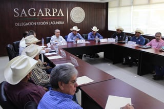 Trabaja. El director de la Conaza estuvo recientemente en las instalaciones de Sagarpa en La Laguna de Durango y Coahuila. (ARCHIVO)