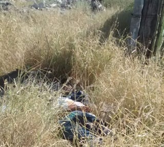 El cuerpo fue localizado en un terreno baldío ubicado entre la avenida Praxedis Guerrero y el ramal del Canal de Sacramento, a la altura de la calle Rodríguez Elías del fraccionamiento El Tajito. (ESPECIAL)