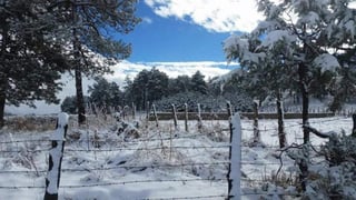 UEPC reportó la caída de nieve en Potrero de Chaidez, Tepehuanes siendo ya seis municipios donde se registra este fenómeno natural. (TWITTER)

