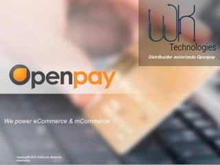 Estrategia. La firma Openpay es un sistema de pagos en línea para grandes empresas y Pymes. 
