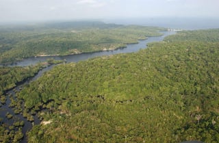 La pérdida de vegetación natural y la degradación de la Tierra, que conlleva el mal estado de los cuencas hidrográficas. (ARCHIVO)