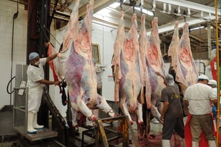 Hay una alta demanda en la actualidad, por lo que se matan mil reses y mil cerdos por semana. (ARCHIVO)