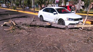 Caída de un árbol en un vehículo en bulevar Dolroes del Río y Belisario Domínguez. (TWITTER)

