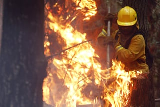 Descontrol. Unos 65 incendios forestales simultáneos seguían consumiendo el centro sur de Chile. (AP)