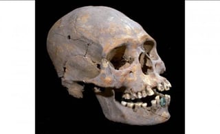 Analizan. Los restos probablemente pertenezcan a una persona de la élite maya que vivió entre los años 570 y 660 después de Cristo (d.C).