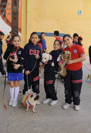 Joselyn, Ivanna, Azul y Romina con sus mascotas.