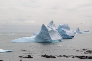 Desde hace décadas, científicos chilenos y estadounidenses pasan largas temporadas en este remoto lugar de la Antártida, ubicado a 62 grados latitud sur, con el objetivo de estudiar las especies e intentar descifrar los efectos del cambio climático. (EFE)