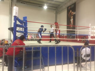 Un total de 14 peleadores laguneros lograron sus boletos a la fase regional, que se disputará durante el mes de abril en San Luis Potosí. Celebran en La Jabonera el estatal de box rumbo a ON