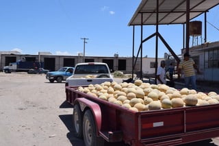 Economía. La planta funciona como centro de empaque de algodón y de melón y genera una importante
derrama económica para el municipio, por lo que los productores piden que la salven.