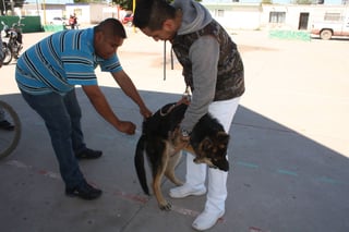 Vacunación. Se tiene la meta de aplicar 106 mil dosis para perros y gatos de La Laguna.