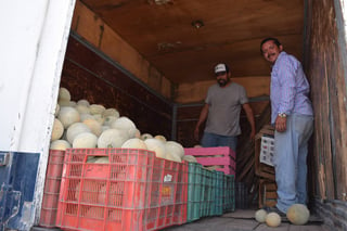 Venta. En Matamoros ya empezaron las primeras cosechas de melón y ya se embarcaron los primeros camiones del producto.