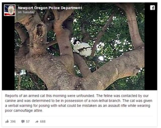 El departamento de la policía subió la imagen a su cuenta de Facebook y bromeó sobre lo sucedido. (INTERNET)