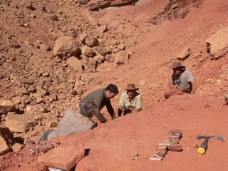 Los fósiles ya no son esenciales porque un equipo internacional de científicos ha ideado una técnica que permite extraer ADN de los sedimentos. (ARCHIVO)