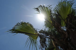 Permanecer en lugares frescos o protegerse del Sol directo, sobre todo de las 10:00 a las 16:00 horas; así como utilizar bloqueador solar, ropa adecuada y proteger los ojos. (ARCHIVO)