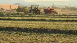 La dependencia federal interpuso una demanda en una Corte Federal de Phoenix en contra de la compañía “G Farms”, con sede en “El Mirage” un suburbio del noroeste de Phoenix. (ESPECIAL)