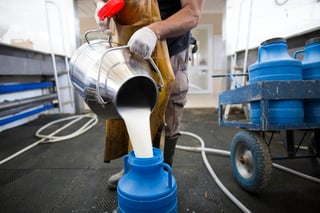 Alternativa. El gobernador dijo tener la intención de crear una planta procesadora de leche. 