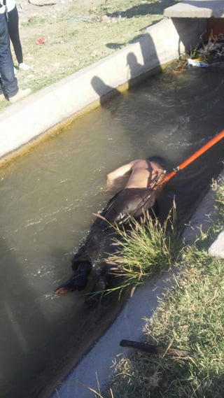 Encuentran a persona ahogada en canal de riego de San Pedro