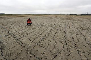 Solo 17 países tienen planes nacionales para enfrentar ese fenómeno basándose en el principio de la reducción del riesgo de sequía. (ARCHIVO)