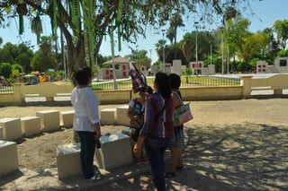Espera. Integrantes de Fuundec se reunieron ayer frente al 'Árbol de la Esperanza', el cual adoptaron en la Alameda Zaragoza de Torreón, lugar en donde hablaron sobre el apoyo que esperan. (GUADALUPE MIRANDA)
