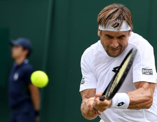 El tope de Ferrer en Wimbledon son los cuartos de final, ronda a la que llegó en 2012, cediendo ante el británico Andy Murray, y al año siguiente, contra el argentino Juan Martín del Potro