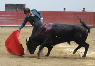 La faena terminó con la simulación de la suerte de matar, ya que en Portugal los toros no se matan y los premios se dan con vueltas al ruedo. (ESPECIAL)